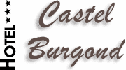 Hotel Castel Burgond ***